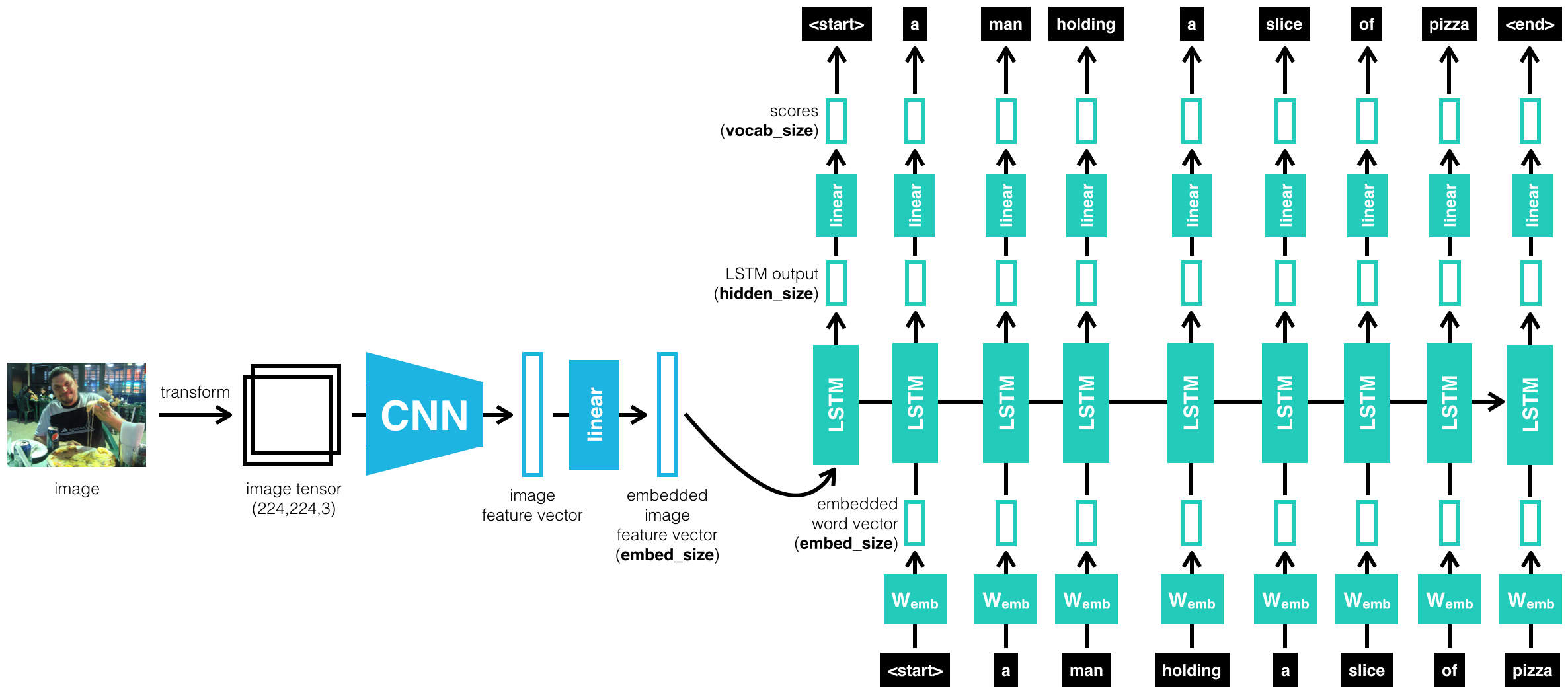 Model Architecture